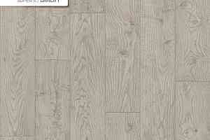 Линолеум Tarkett Супер С DANDY 1 фото  | FLOORDEALER